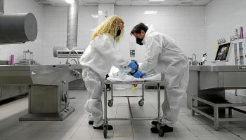 Los oficios de la muerte