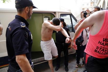 La Fiscalía pide ocho años de prisión por el crimen del cineasta holandés en Son Banya