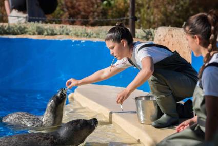 Marineland Mallorca