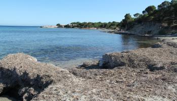 Llucmajor ante una legislatura con el foco en el cuidado del medio ambiente