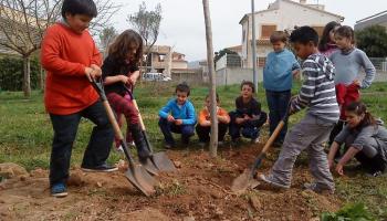 Día Mundial del Medio Ambiente: la importancia de un símbolo