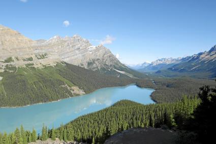 Lago peyto