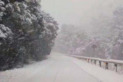 Las imágenes de la impresionante nevada de este sábado