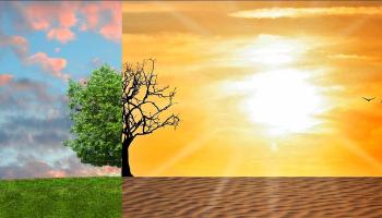 La Unión Europea cuenta con una serie de estrategias para lograr objetivos de neutralidad en 2050.