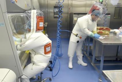 Biden accede a desclasificar información sobre el origen de la pandemia de COVID-19