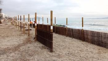 Las barreras en Can Picafort evitarán la pérdida de arena.