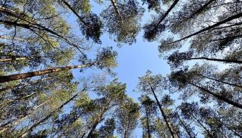 Objetivo de la UE: neutralidad climática de aquí a 2050