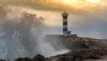 Durante la última sesión de eForum se debatirá sobre: Destinos sostenibles para un turismo responsable.