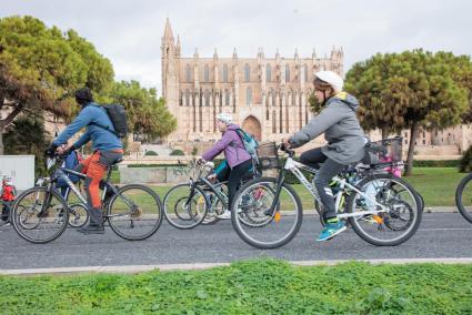 Los participantes de la Diada Ciclista frente a la Catedral.