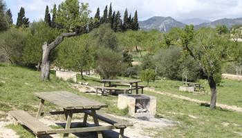 INCA - MEJORA DEL SERRAL DE LES MONGES.