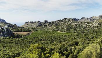 La esencia de la Serra de Tramuntana