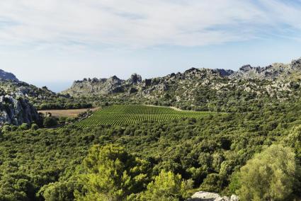 La esencia de la Serra de Tramuntana