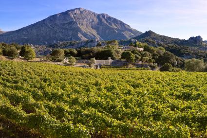 La esencia de la Serra de Tramuntana
