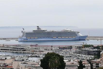 El Govern iniciará el diálogo para renovar la limitación de cruceros