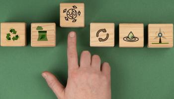 eMallorca Experience