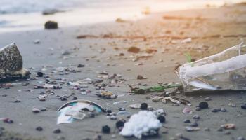 eMallorca Experience