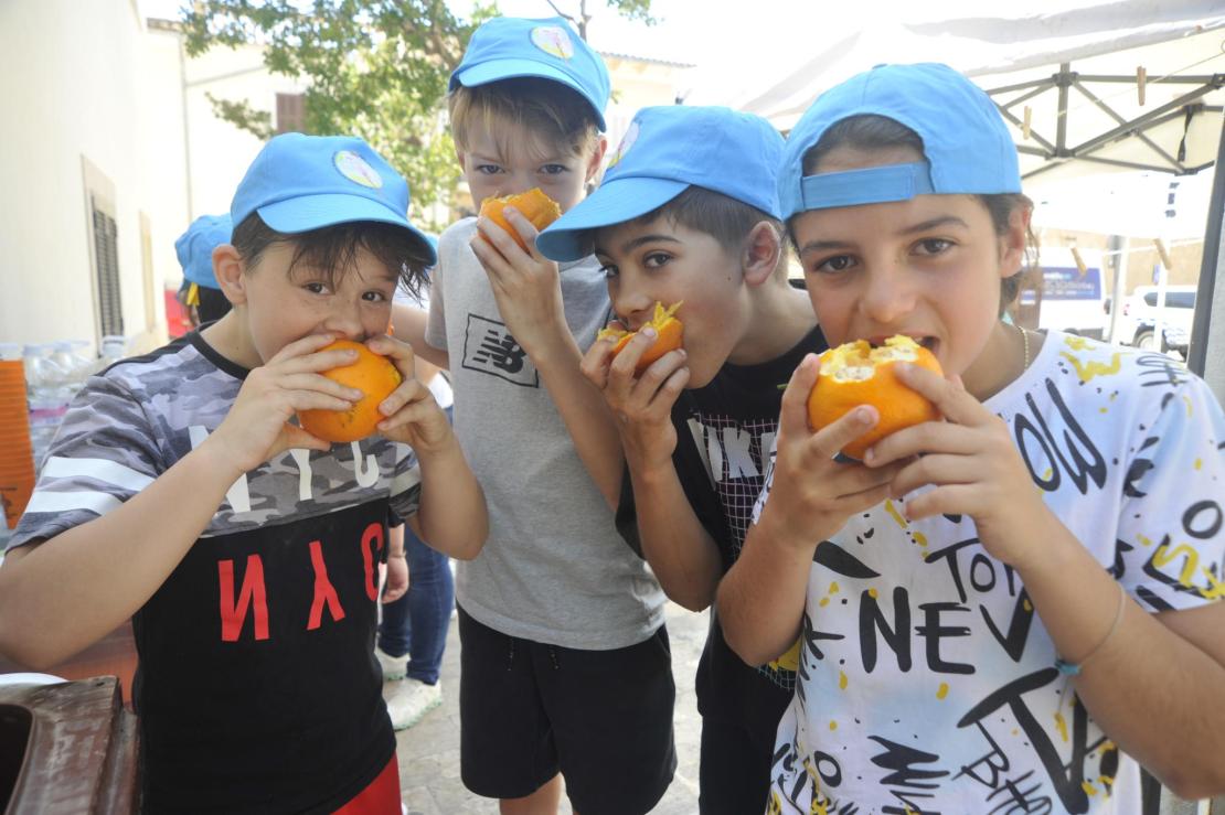 Energy Sant Llorenç