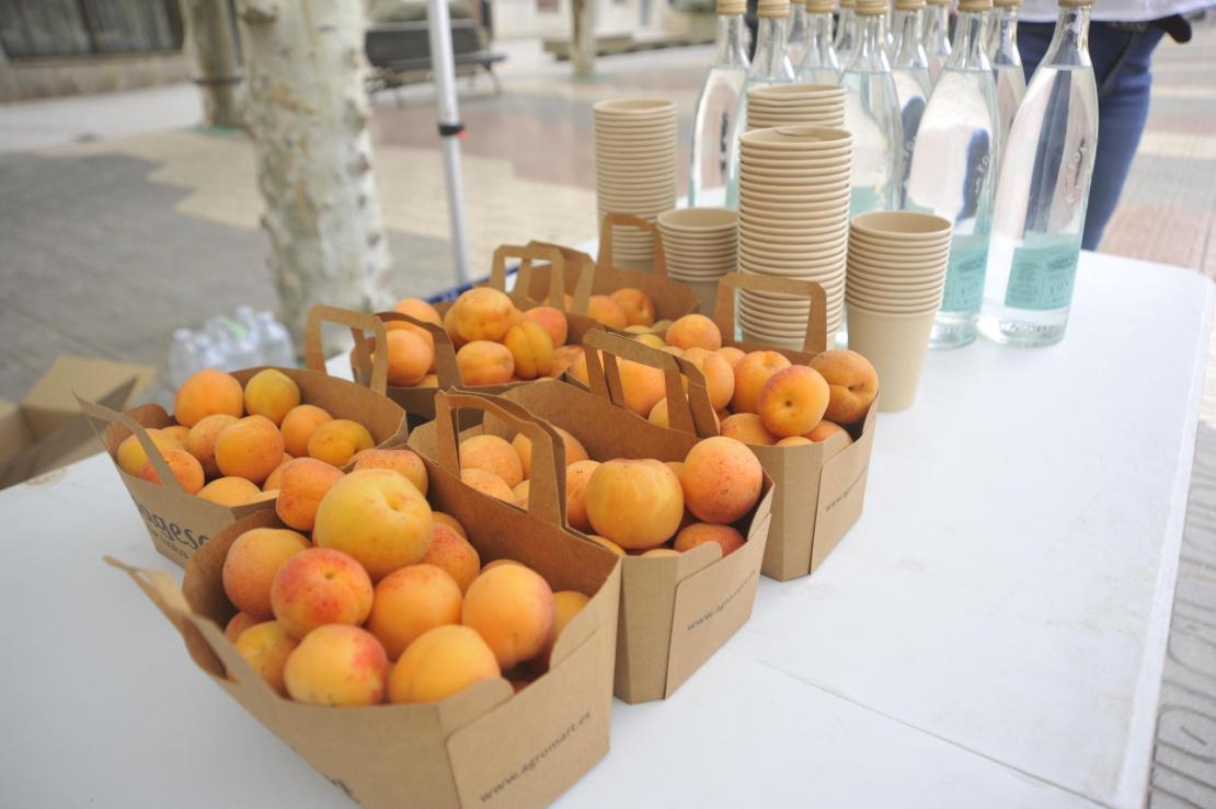 Energy Santa Margalida