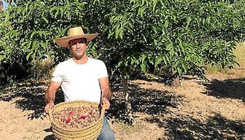 eMallorca Experience