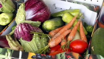 eMallorca Experience