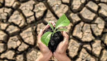 eMallorca Experience