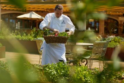 El chef Markus Wonish selecciona productos de su propio huerto para servir su nuevo menú degustación para Cocinas y cocineros con alma.