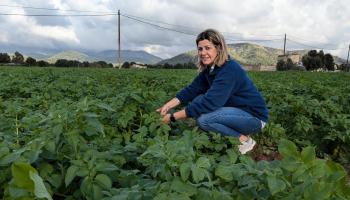 «La innovación constante en el campo es fundamental»