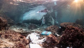 Baterías, plomo y un motor: Arrels Marines denuncia el impacto de un velero hundido en la badia de Pollença