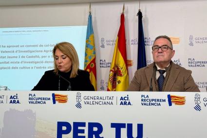 Pampols confía en poder iniciar la desescalada de la emergencia de la dana la próxima semana "si no ocurre nada anómalo"