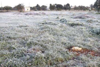 Imagen de archivo de un terreno helado en el Pla de Mallorca