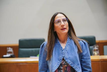 El Gobierno Vasco recurrirá la anulación del decreto de planificación escolar por parte del TSJPV