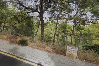 Solar de la Calle Olivera de Cas Català