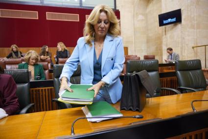 PSOE-A, Por Andalucía y Adelante piden que la Junta informe en un Pleno extraordinario del cese de la Interventora