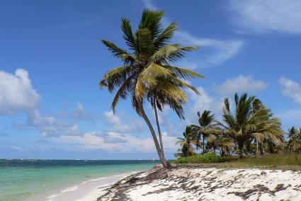 Punta Cana