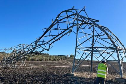 Endesa destina en Andalucía más de 15 millones a mantener y reforzar la red de cara al invierno