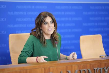 Férriz sustituirá a Espadas en las preguntas a Moreno en los dos plenos del Parlamento previos al Congreso del PSOE-A