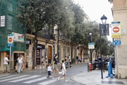 Palma