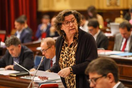 Cirer prevé haber creado más de 800 plazas en residencias y centros de día al finalizar la legislatura