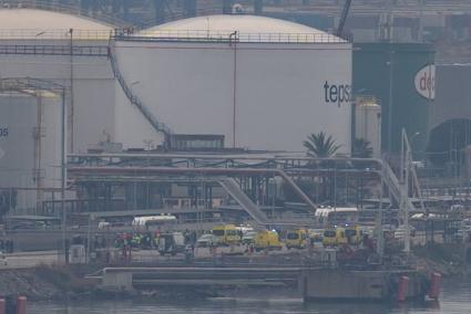 Tepsa investiga el accidente en el Puerto y dice que la terminal ya funciona "con normalidad"