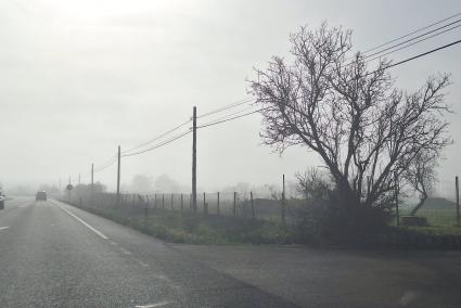 Hermosa imagen de niebla entre Campos y Santanyí