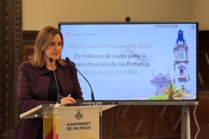 Valencia.- Catalá habilita 25 millones del presupuesto municipal para reconstruir las pedanías afectadas por la dana