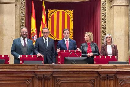Pradales ve al PP en una deriva de "posiciones extremistas" que aleja posibles alianzas o pactos