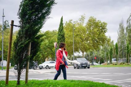 Euskadi activará este miércoles el aviso naranja por rachas de viento que podrían superar los 120 km/h