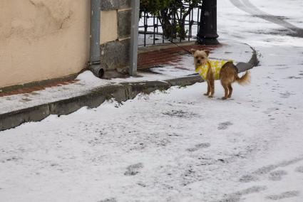 Aemet activa el aviso amarillo por riesgo de nieve en la Sierra desde esta tarde