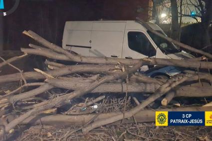 Valencia.- El fuerte viento provoca 70 intervenciones por daños en València