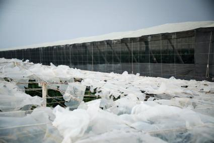 El Gobierno abona los primeros 3,48 millones de euros a 175 agricultores y ganaderos andaluces afectados por la DANA