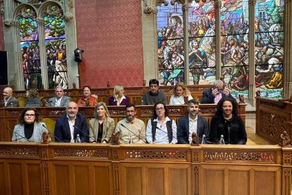 Los consellers del grupo socialista en el Consell de Mallorca.