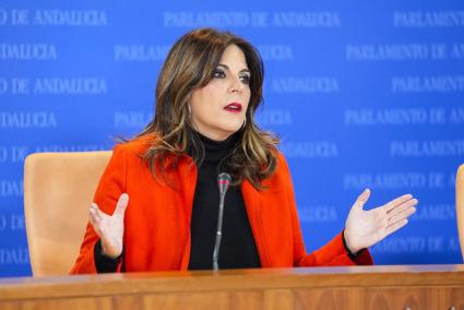 Sevilla.- PSOE-A y Adelante piden la dimisión del delegado de Educación de la Junta tras quejas de AMPAs