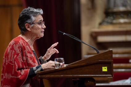 Junts pide que Pané explique en el Parlament la "falta de previsión" ante los efectos de la gripe