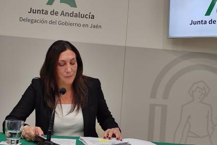 La Junta ya tramita dos procedimientos sancionadores sobre pisos de menores extutelados y acusa a Nieto de "enfangar"